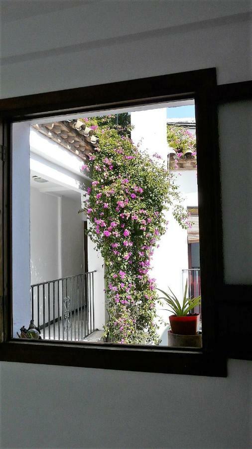 Lola5 Apartment Córdoba Exterior foto